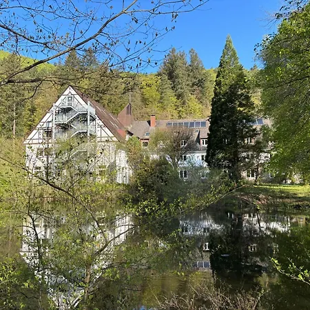 Die Heilsbach gGmbH-3